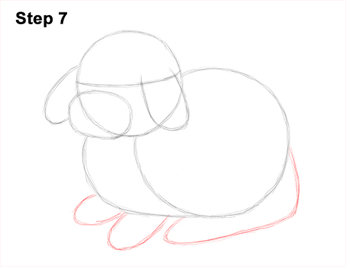 Draw Holland Lop Rabbit 7