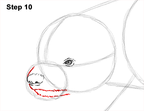 Draw Honey Badger 10