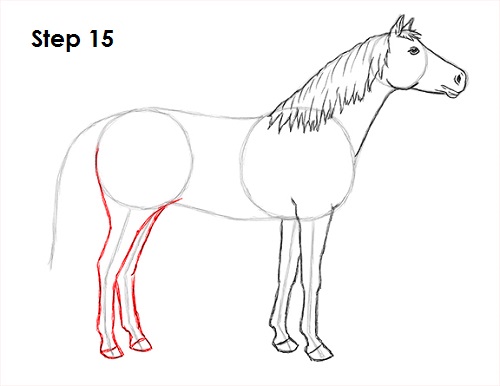 Horse Drawing 15 Draw Horse 15