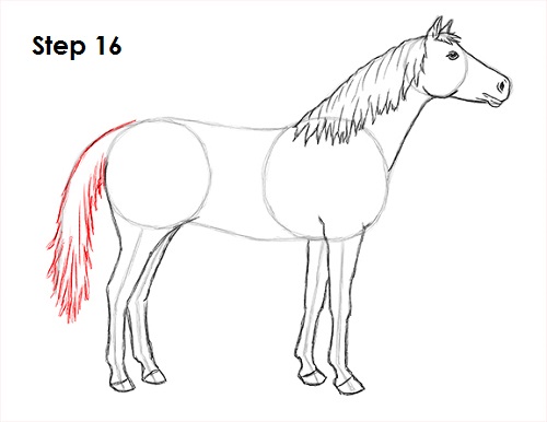 Horse Drawing 16 Draw Horse 16