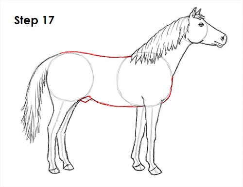 Horse Drawing 17 Draw Horse 17