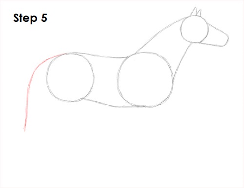 Horse Drawing 5 Draw Horse 5