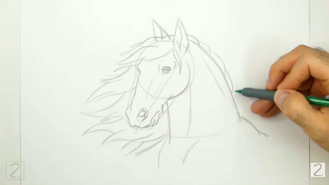 Draw Horse Head and Mane Details How to Finish Sketching the Horse Head and Mane