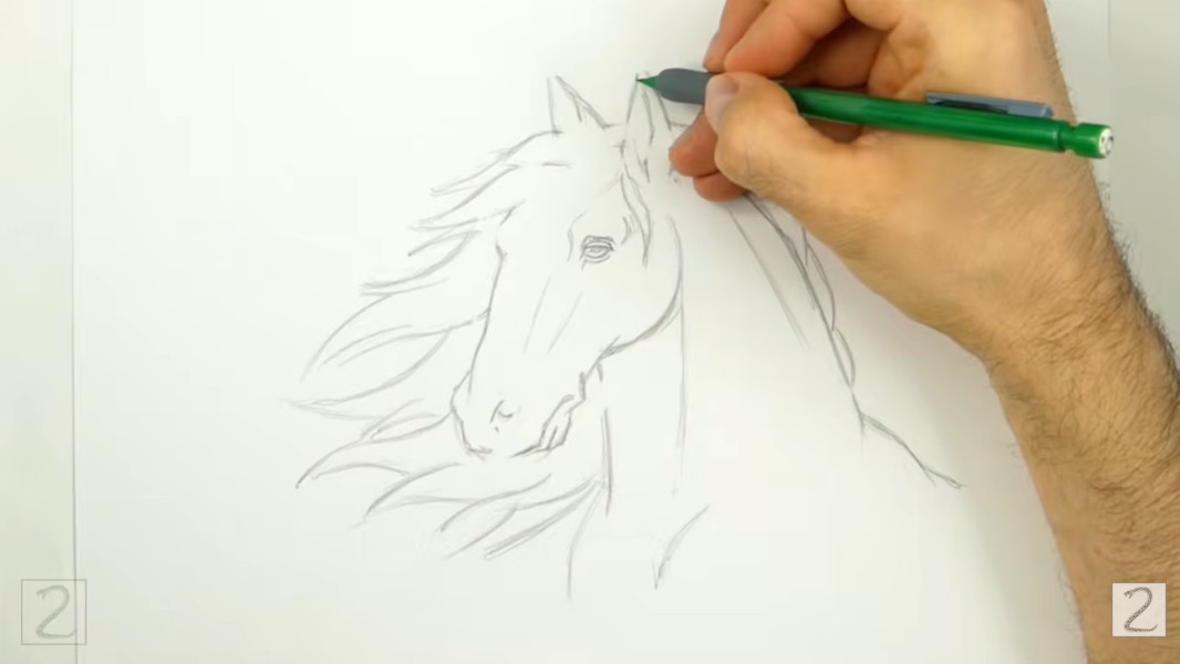 Erase Horse Guidelines How to Erase Guidelines and Tidy Your Horse Sketch