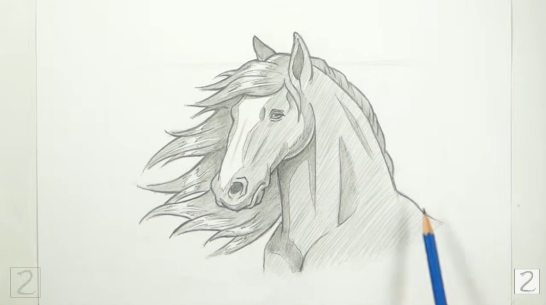 Continue Shading Horse How to Continue Shading and Outlining Horse Details