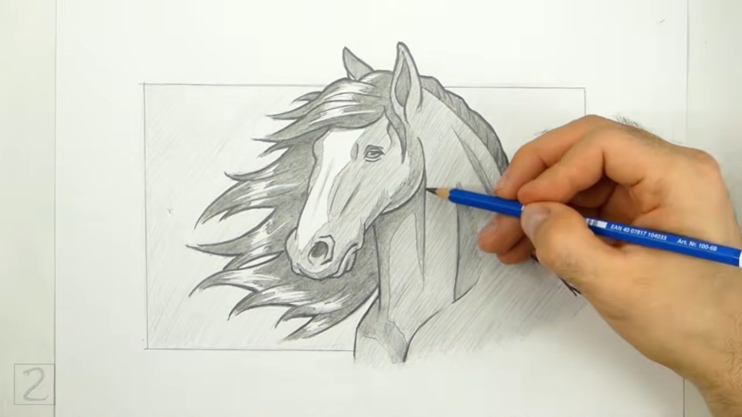 Add Border Behind Horse How to Add a Border Behind the Horse