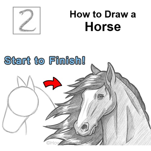 Finished Horse Drawing Completed Horse Drawing Tutorial