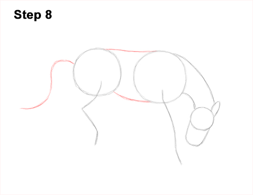 Draw a Bucking Horse 8 How to Draw a Horse Bronco Bucking Jumping 8