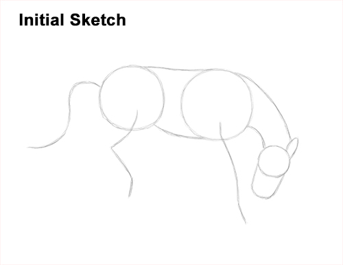 Draw a Bucking Horse Guidelines How to Draw a Horse Bronco Bucking Jumping Guide Lines