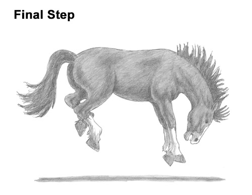 How to Draw a Horse Bronco Bucking Jumping