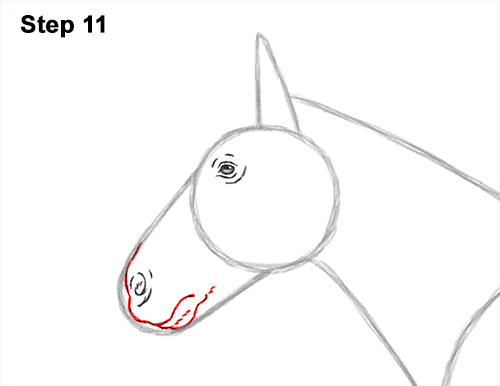 Draw a Draw a Horse Color Side View 11 How to Draw a Brown Horse Color Side View 11