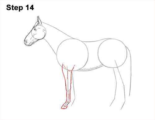 Draw a Draw a Horse Color Side View 14 How to Draw a Brown Horse Color Side View 14