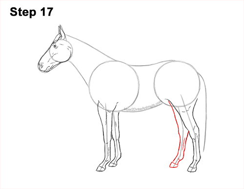 How to Draw a Brown Horse Color Side View 17