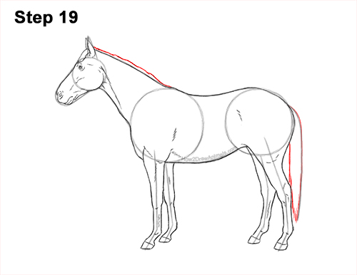 How to Draw a Brown Horse Color Side View 19