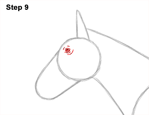 How to Draw a Brown Horse Color Side View 9