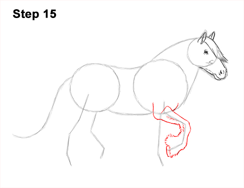 Draw a Gypsy Horse Trotting Galloping 15 How to Draw a Horse Gypsy Vanner Irish Cob 15