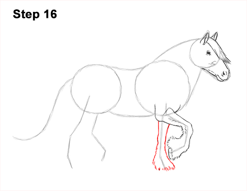 Draw a Gypsy Horse Trotting Galloping 16 How to Draw a Horse Gypsy Vanner Irish Cob 16