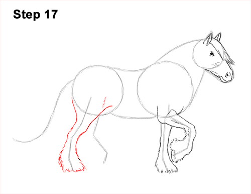 Draw a Gypsy Horse Trotting Galloping 17 How to Draw a Horse Gypsy Vanner Irish Cob 17
