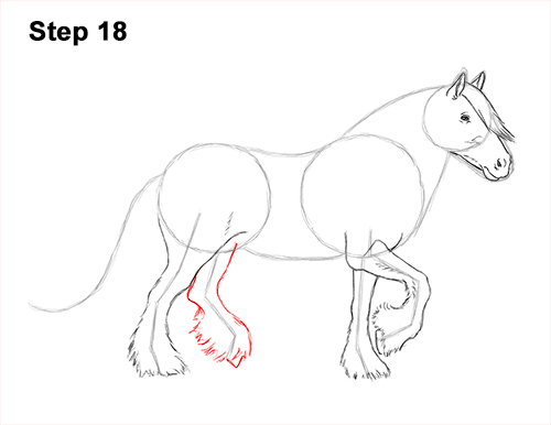 Draw a Gypsy Horse Trotting Galloping 18 How to Draw a Horse Gypsy Vanner Irish Cob 18