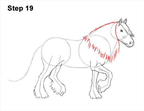 Draw a Gypsy Horse Trotting Galloping 19 How to Draw a Horse Gypsy Vanner Irish Cob 19