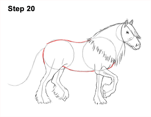 Draw a Gypsy Horse Trotting Galloping 20 How to Draw a Horse Gypsy Vanner Irish Cob 20