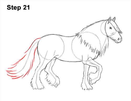 Draw a Gypsy Horse Trotting Galloping 21 How to Draw a Horse Gypsy Vanner Irish Cob 21