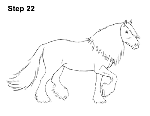 Draw a Gypsy Horse Trotting Galloping 22 How to Draw a Horse Gypsy Vanner Irish Cob 22