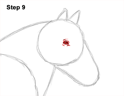 Draw a Gypsy Horse Trotting Galloping 9 How to Draw a Horse Gypsy Vanner Irish Cob 9