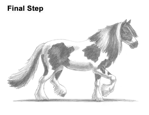 Draw a Gypsy Horse Trotting Galloping How to Draw a Horse Gypsy Vanner Irish Cob