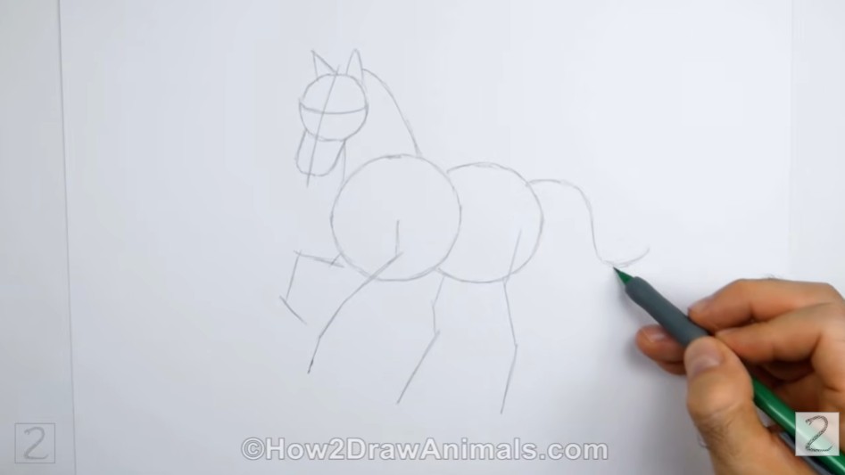 Guidelines Initial Pencil Sketch How to Draw a Horse Guidelines Initial Pencil Sketch