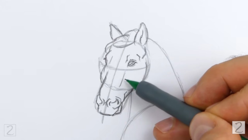 Draw the Facial Features How to Draw a Horse Facial Features