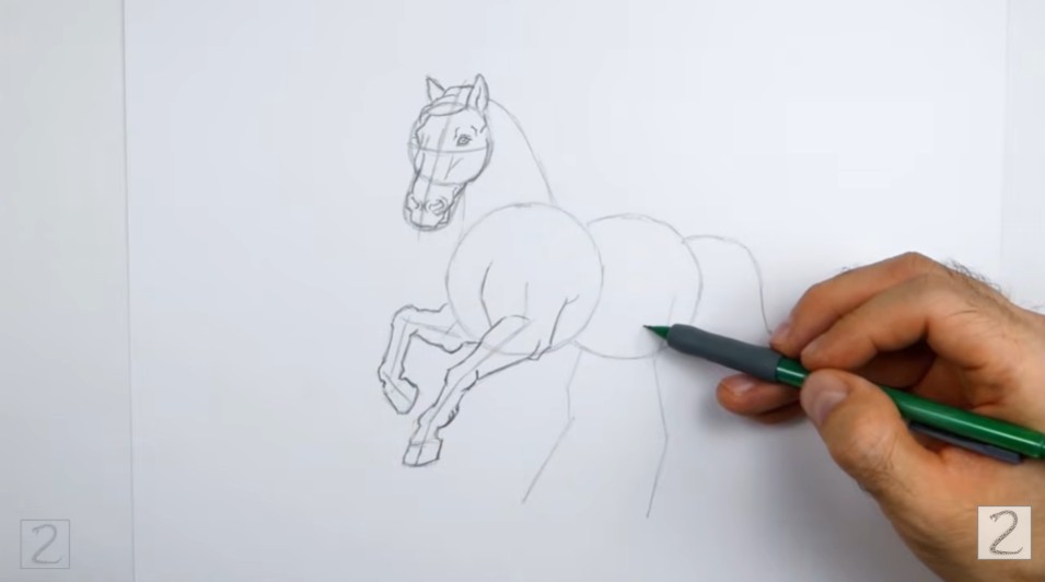 Add the Front Legs How to Draw a Horse Front Legs