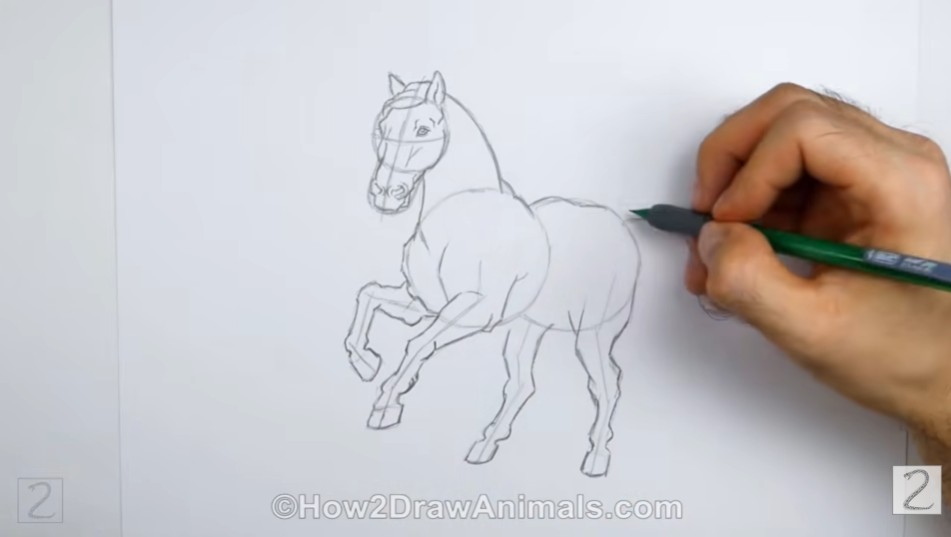 Complete the Back Legs and Body How to Draw a Horse Back Legs and Body