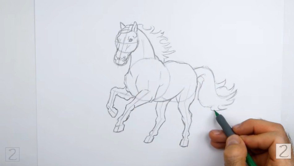 Draw the Mane and Tail How to Draw a Horse Mane and Tail