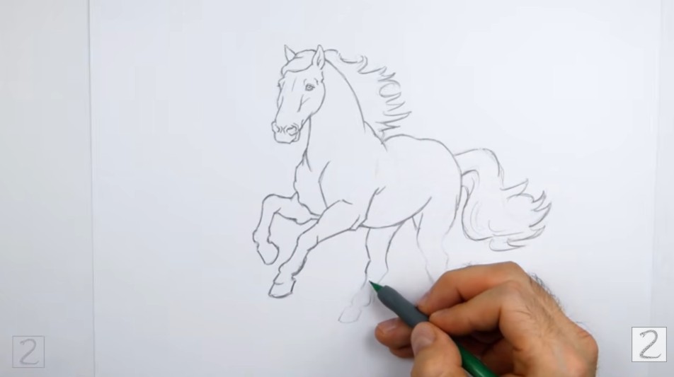 Erase Guidelines and Clean Up Your Sketch How to Draw a Horse Erase Guidelines