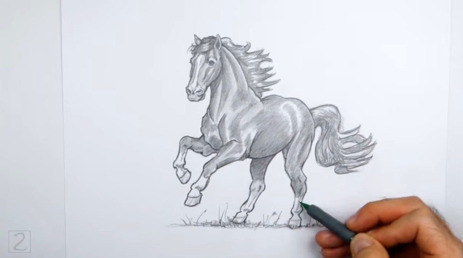 Finish Shading and Add Some Grass Details How to Draw a Horse Finish Shading and Grass
