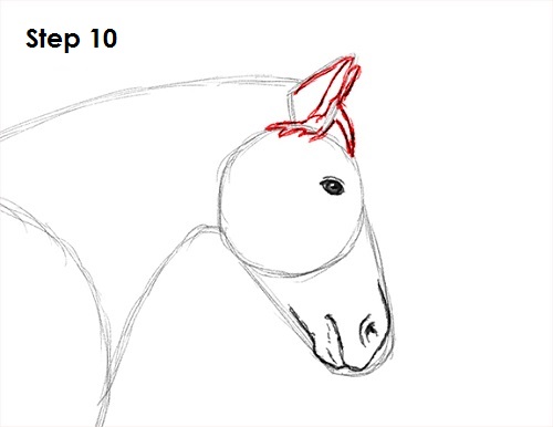 Jumping Horse 10 Draw a Horse Jumping 10