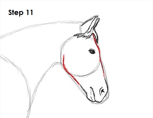 Jumping Horse 11 Draw a Horse Jumping 11