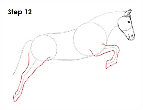 Jumping Horse 12 Draw a Horse Jumping 12