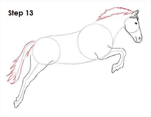 Jumping Horse 13 Draw a Horse Jumping 13