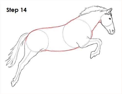 Jumping Horse 14 Draw a Horse Jumping 14