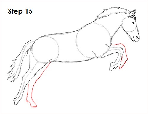 Jumping Horse 15 Draw a Horse Jumping 15