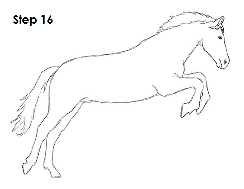 Jumping Horse 16 Draw a Horse Jumping 16