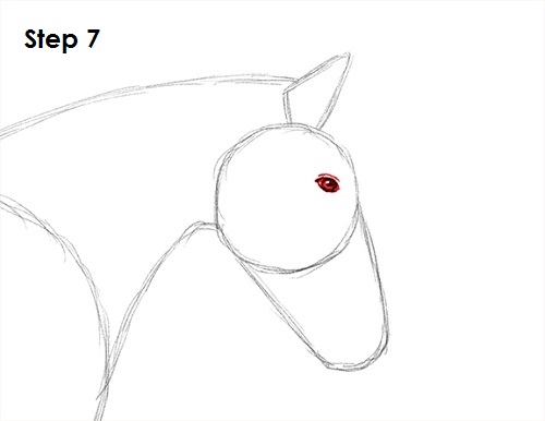 Jumping Horse 7 Draw a Horse Jumping 7