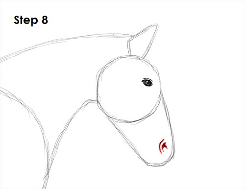 Jumping Horse 8 Draw a Horse Jumping 8