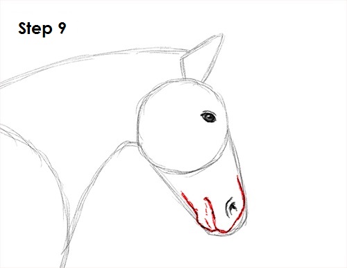 Jumping Horse 9 Draw a Horse Jumping 9