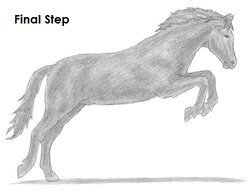 Jumping Horse Draw a Horse Jumping