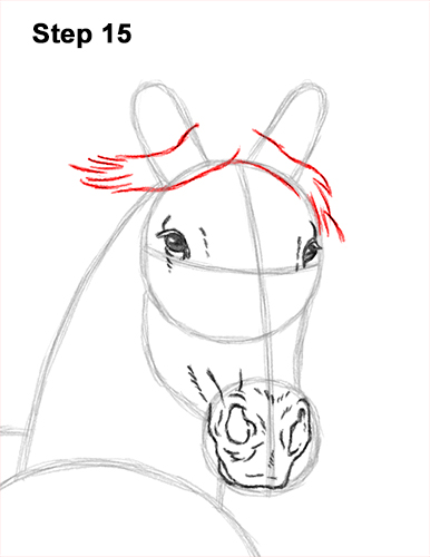 How to Draw Horse Running Front Forward 15