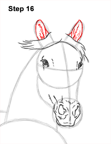 How to Draw Horse Running Front Forward 16