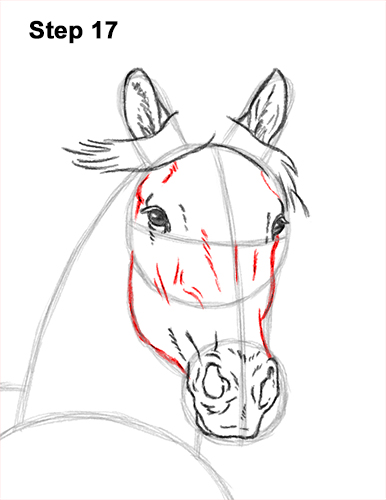 How to Draw Horse Running Front Forward 17